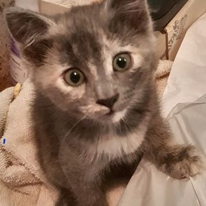 Meet your Posher, Vera